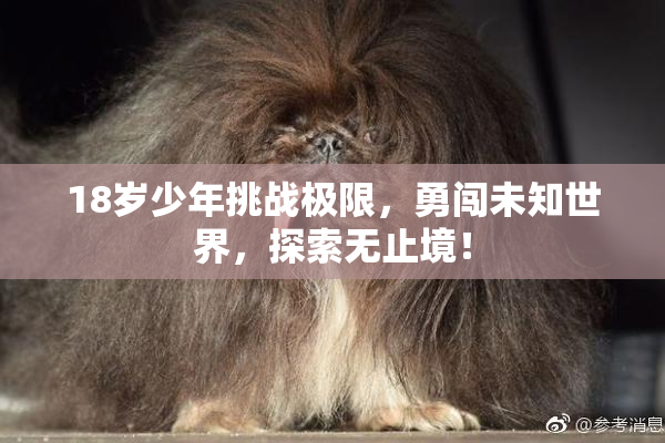 18岁少年挑战极限，勇闯未知世界，探索无止境！