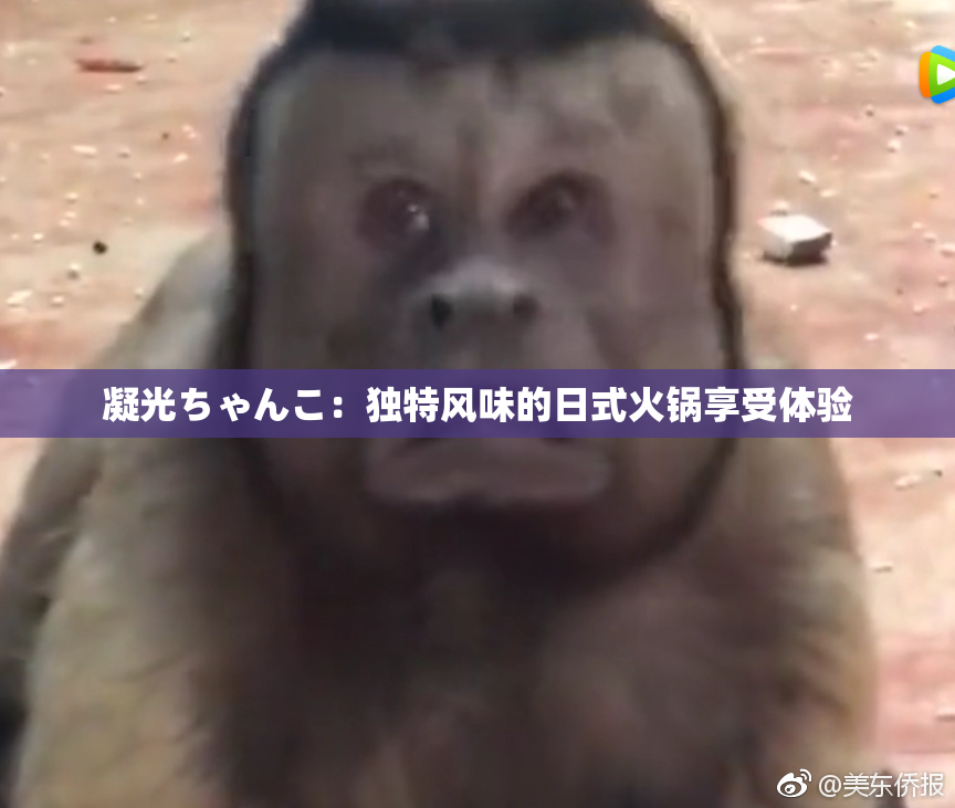 凝光ちゃんこ：独特风味的日式火锅享受体验