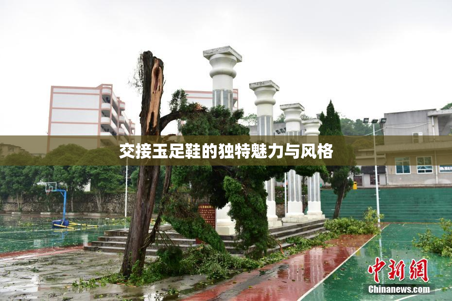 交接玉足鞋的独特魅力与风格