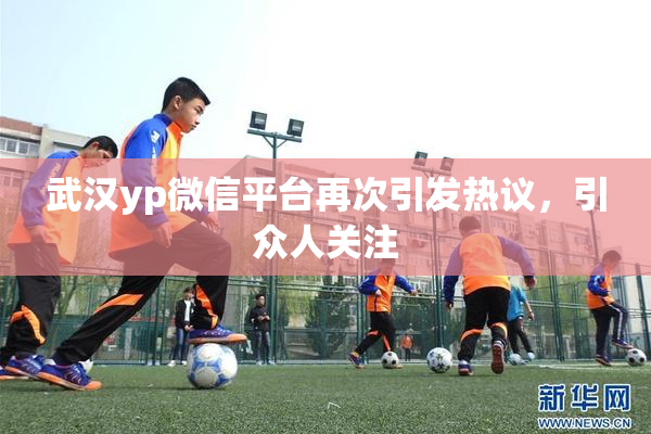 武汉yp微信平台再次引发热议，引众人关注