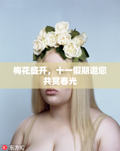 梅花盛开，十一假期邀您共赏春光
