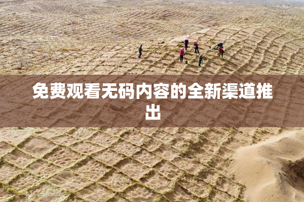 免费观看无码内容的全新渠道推出
