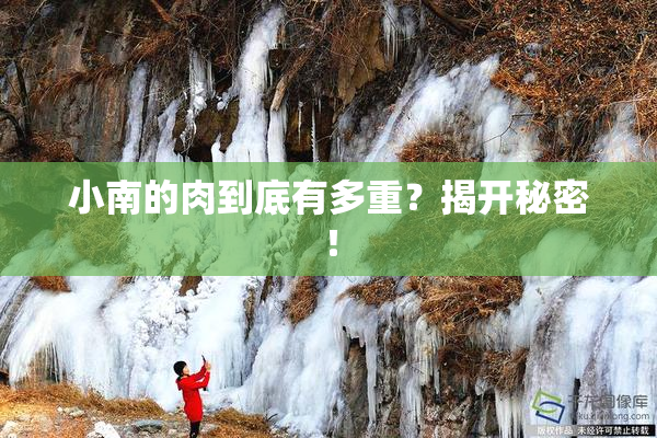 小南的肉到底有多重？揭开秘密！