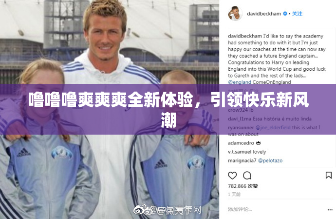 噜噜噜爽爽爽全新体验，引领快乐新风潮