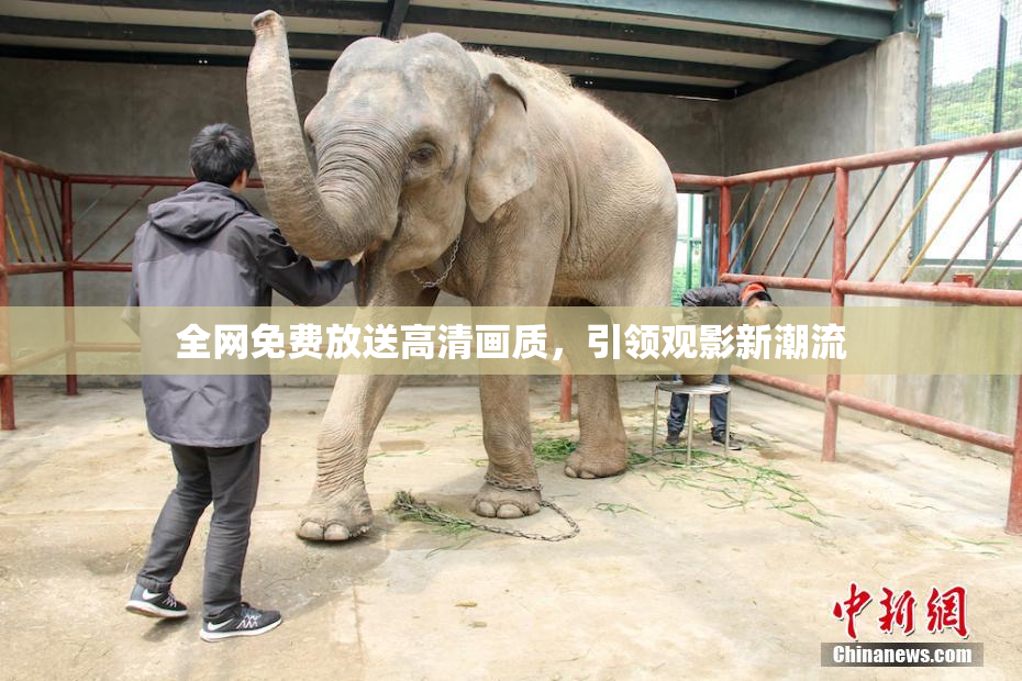 全网免费放送高清画质，引领观影新潮流