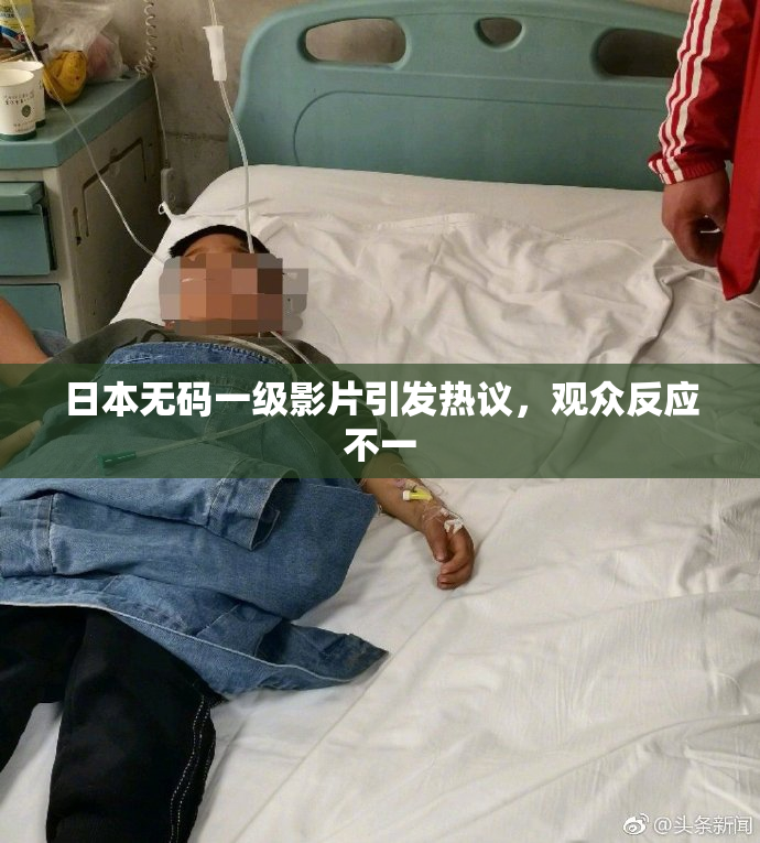 日本无码一级影片引发热议，观众反应不一