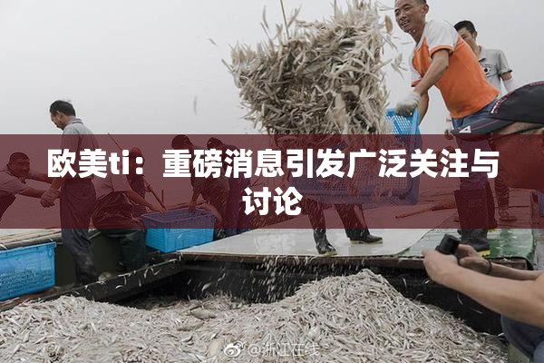欧美ti：重磅消息引发广泛关注与讨论
