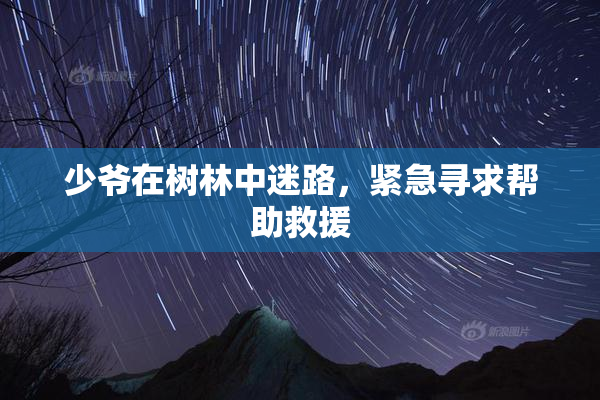 少爷在树林中迷路，紧急寻求帮助救援