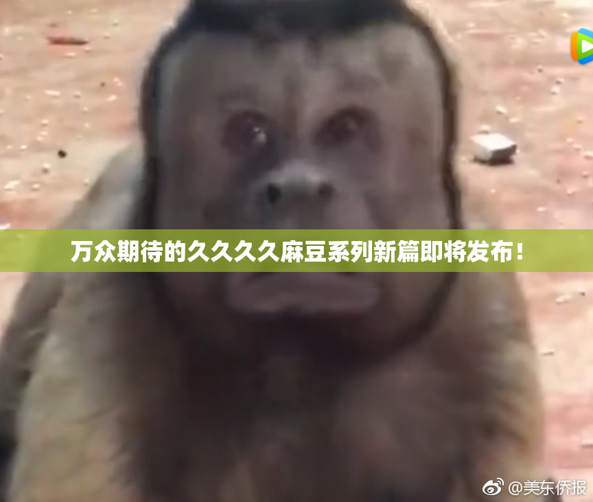 万众期待的久久久久麻豆系列新篇即将发布！