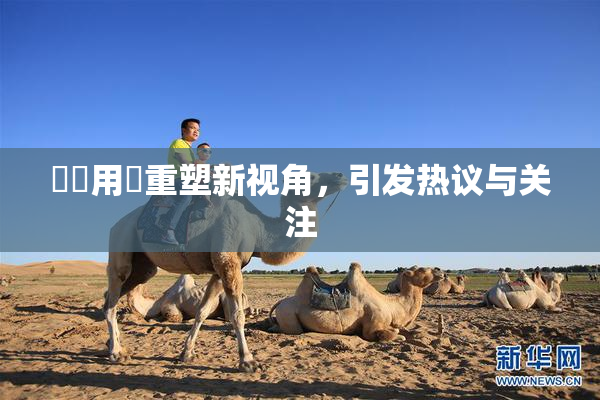 妺妺用夾重塑新视角，引发热议与关注