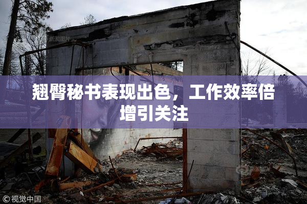 翘臀秘书表现出色，工作效率倍增引关注