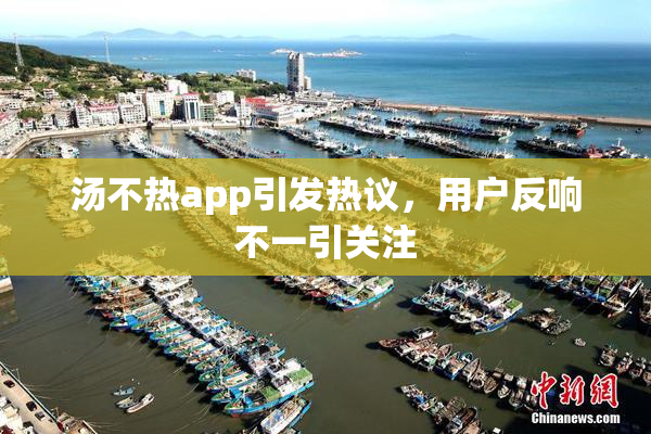 汤不热app引发热议，用户反响不一引关注