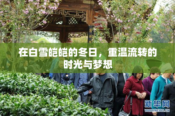 在白雪皑皑的冬日，重温流转的时光与梦想
