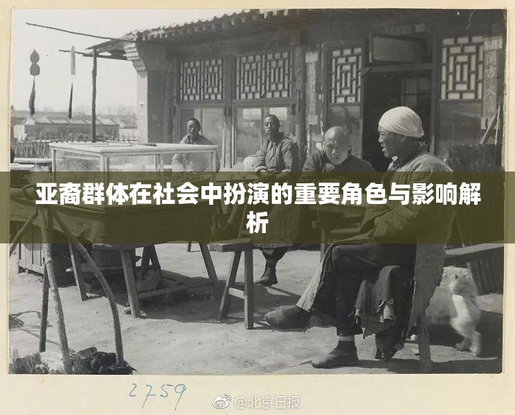 亚裔群体在社会中扮演的重要角色与影响解析