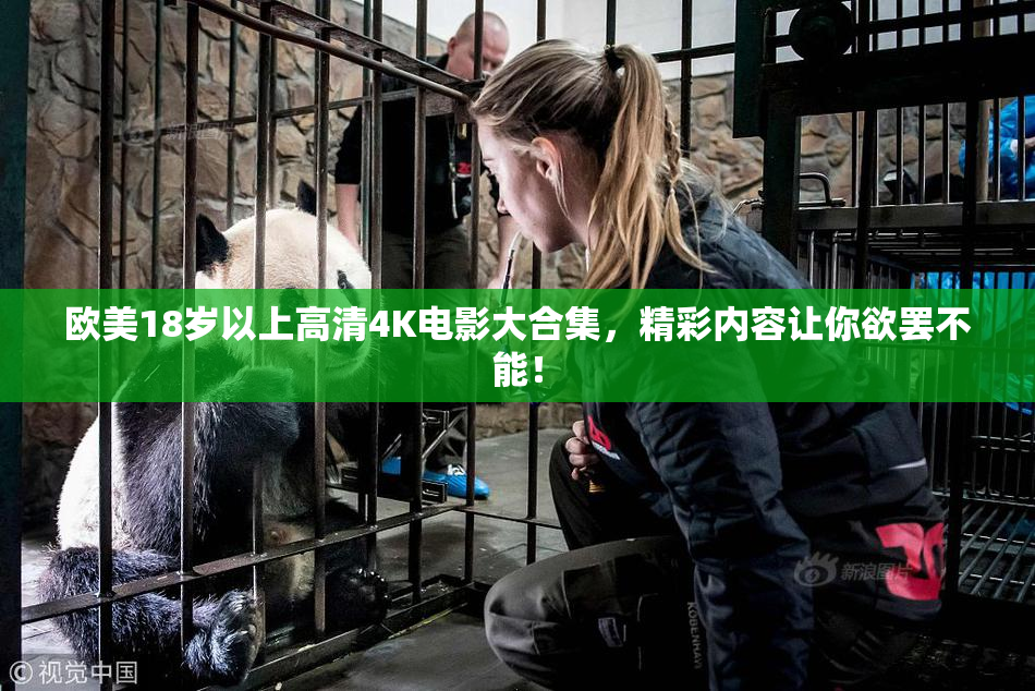 欧美18岁以上高清4K电影大合集，精彩内容让你欲罢不能！