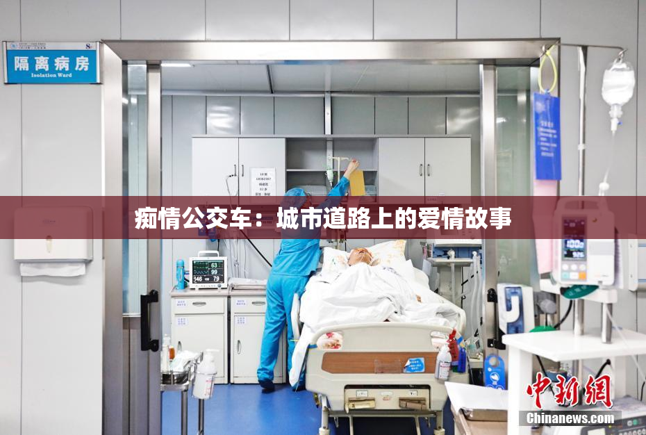 痴情公交车：城市道路上的爱情故事