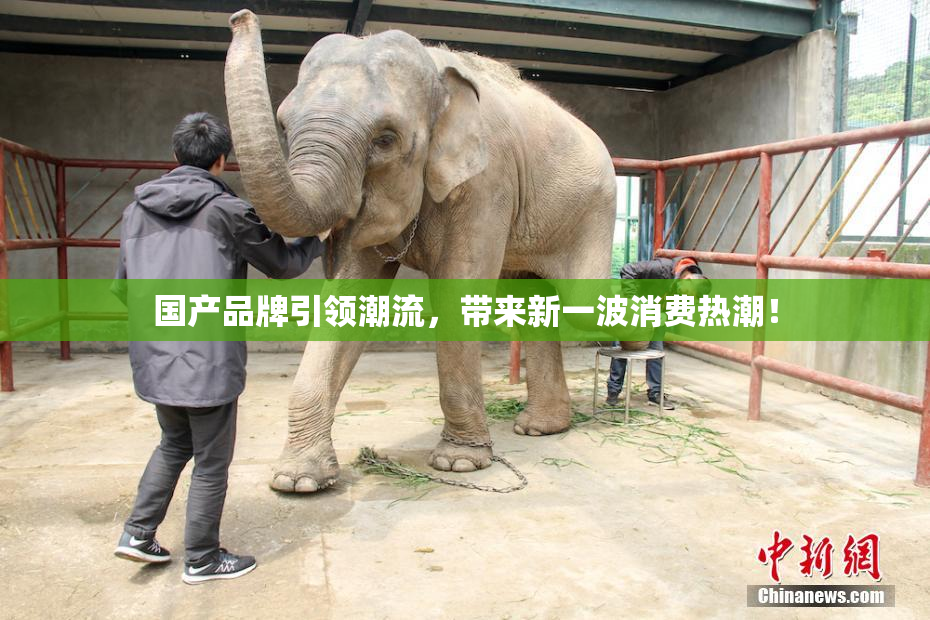 国产品牌引领潮流，带来新一波消费热潮！