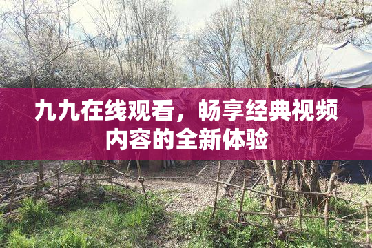 九九在线观看，畅享经典视频内容的全新体验