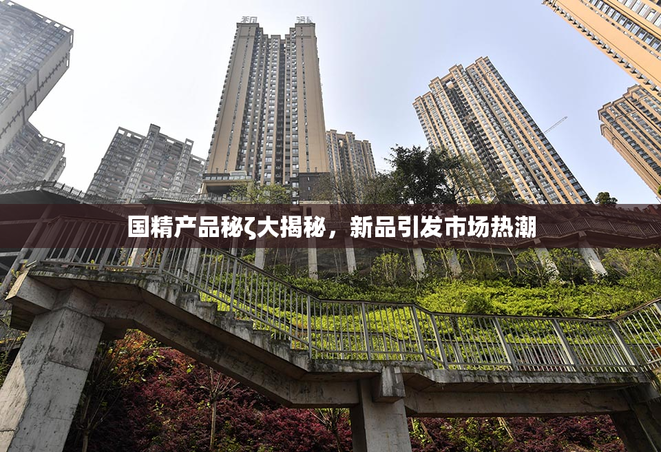 国精产品秘ζ大揭秘，新品引发市场热潮
