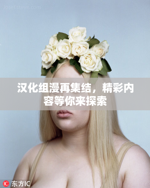 汉化组漫再集结，精彩内容等你来探索