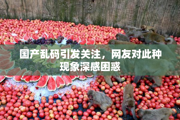 国产乱码引发关注，网友对此种现象深感困惑