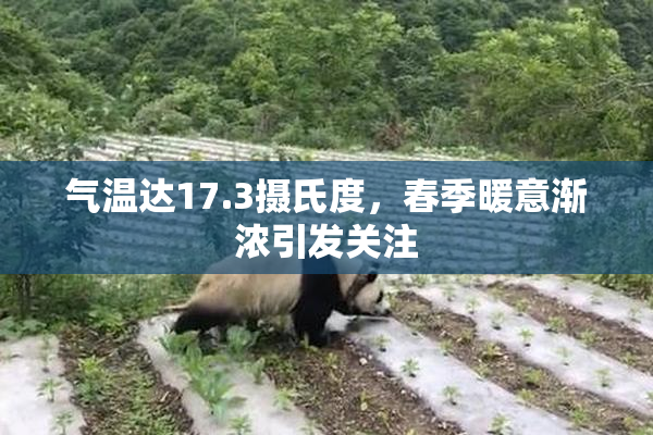 气温达17.3摄氏度，春季暖意渐浓引发关注