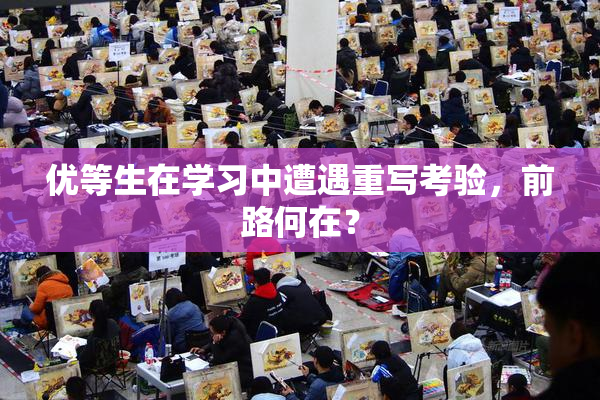 优等生在学习中遭遇重写考验，前路何在？