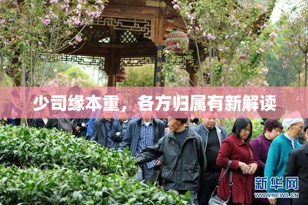 少司缘本重，各方归属有新解读