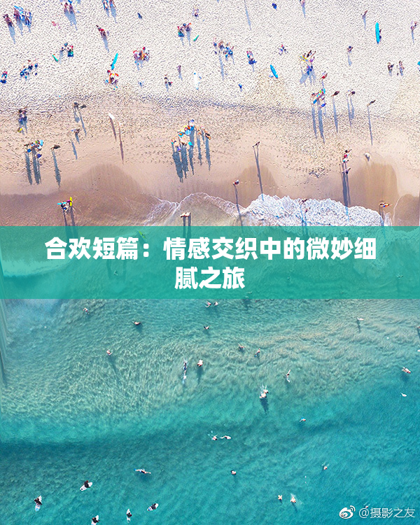 合欢短篇：情感交织中的微妙细腻之旅