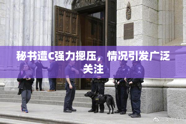 秘书遭C强力摁压，情况引发广泛关注