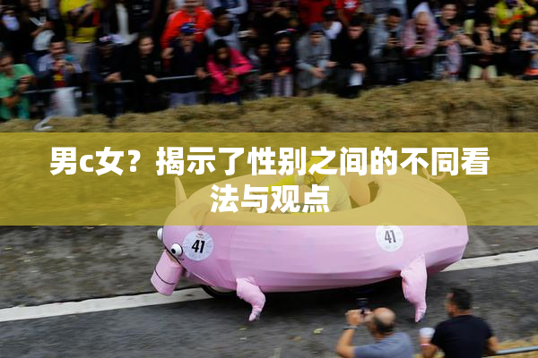 男c女？揭示了性别之间的不同看法与观点