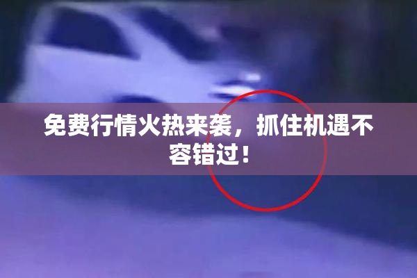 免费行情火热来袭，抓住机遇不容错过！