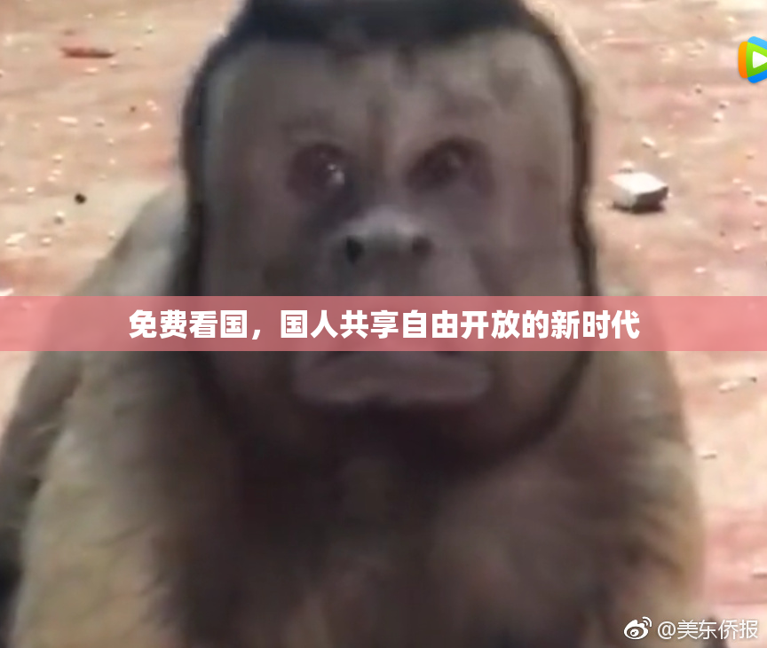 免费看国，国人共享自由开放的新时代