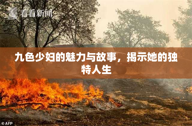 九色少妇的魅力与故事，揭示她的独特人生
