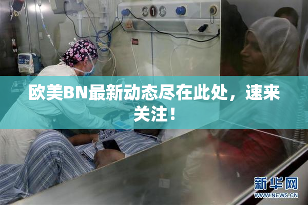 欧美BN最新动态尽在此处，速来关注！