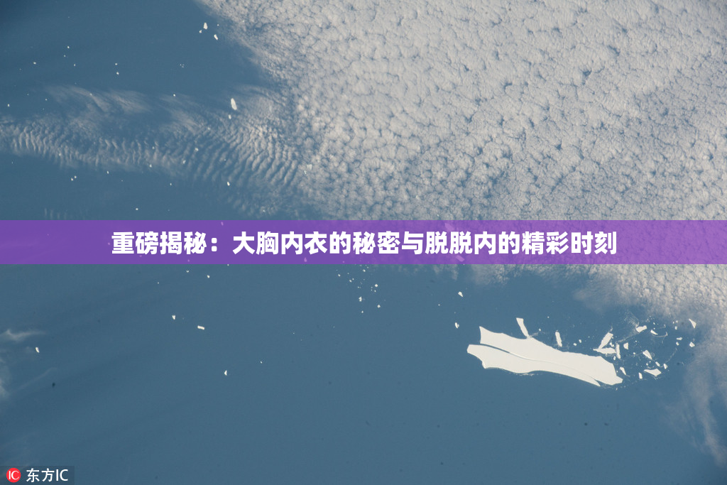 重磅揭秘：大胸内衣的秘密与脱脱内的精彩时刻