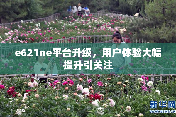 e621ne平台升级，用户体验大幅提升引关注