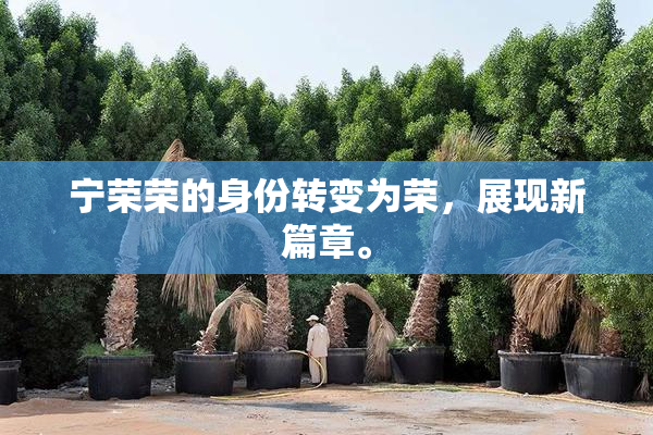 宁荣荣的身份转变为荣，展现新篇章。