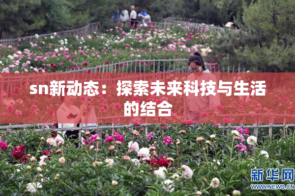 sn新动态：探索未来科技与生活的结合
