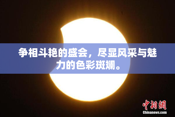 争相斗艳的盛会，尽显风采与魅力的色彩斑斓。