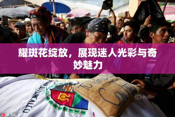 耀斑花绽放，展现迷人光彩与奇妙魅力