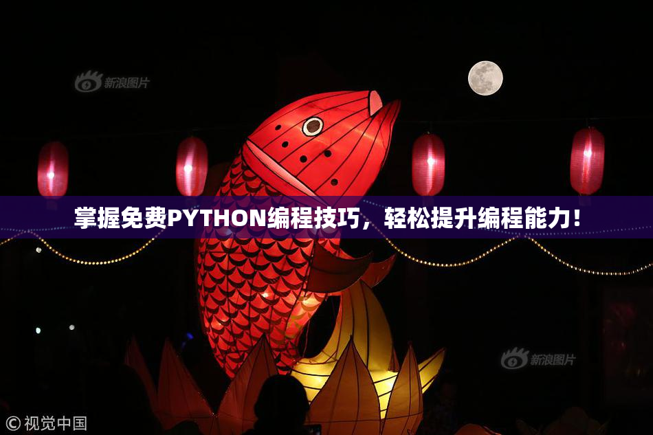 掌握免费PYTHON编程技巧，轻松提升编程能力！