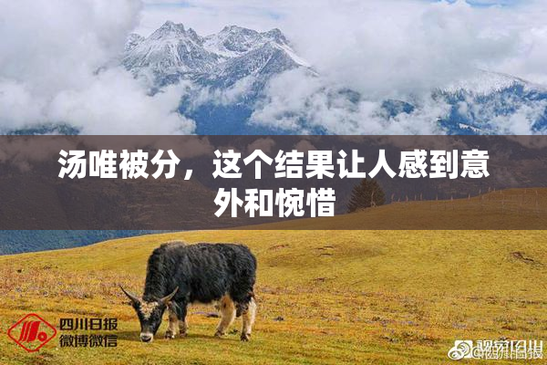 汤唯被分，这个结果让人感到意外和惋惜