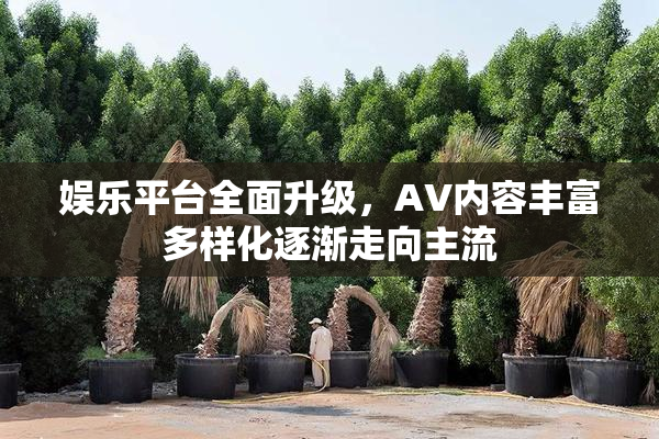 娱乐平台全面升级，AV内容丰富多样化逐渐走向主流