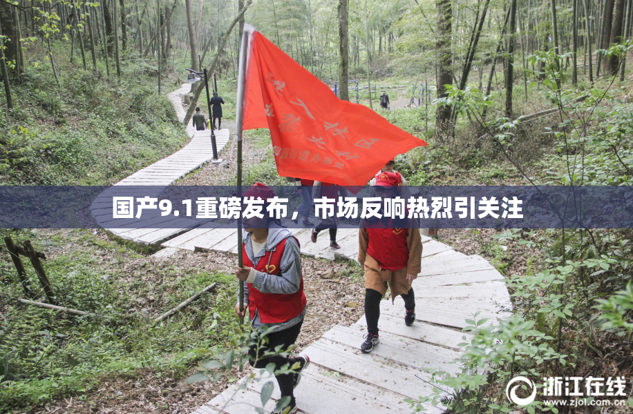 国产9.1重磅发布，市场反响热烈引关注