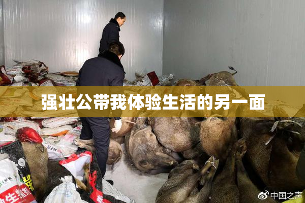 强壮公带我体验生活的另一面
