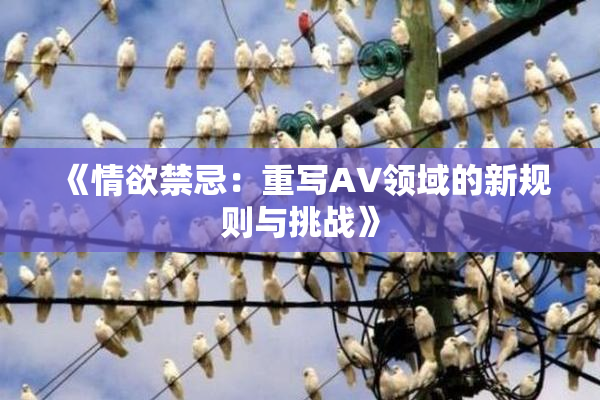 《情欲禁忌：重写AV领域的新规则与挑战》