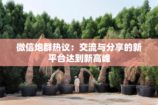 微信炮群热议：交流与分享的新平台达到新高峰
