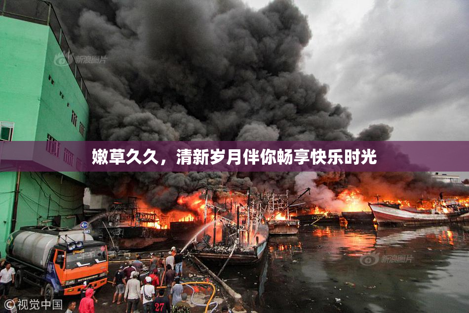 嫩草久久，清新岁月伴你畅享快乐时光