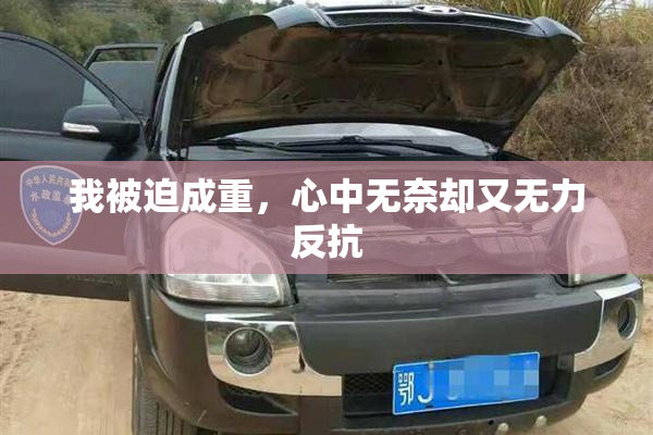 我被迫成重，心中无奈却又无力反抗